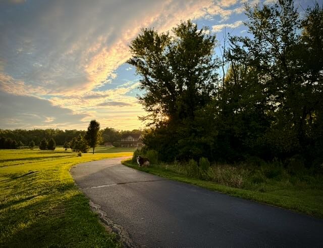 Whispering Hope Farm photo 10