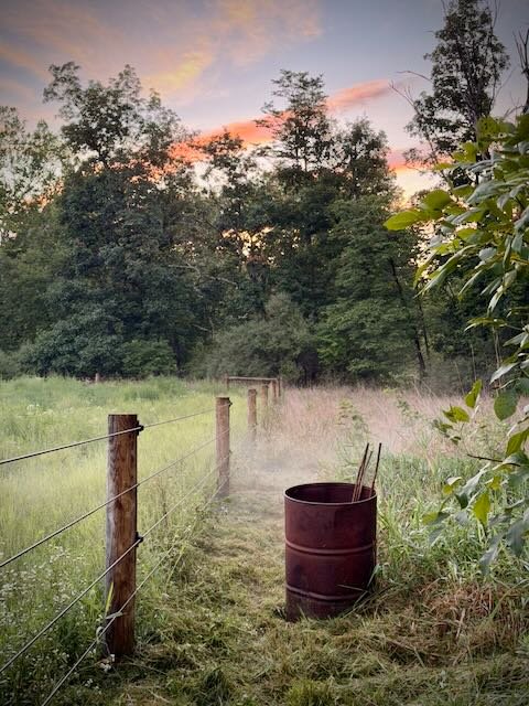 Whispering Hope Farm photo 11