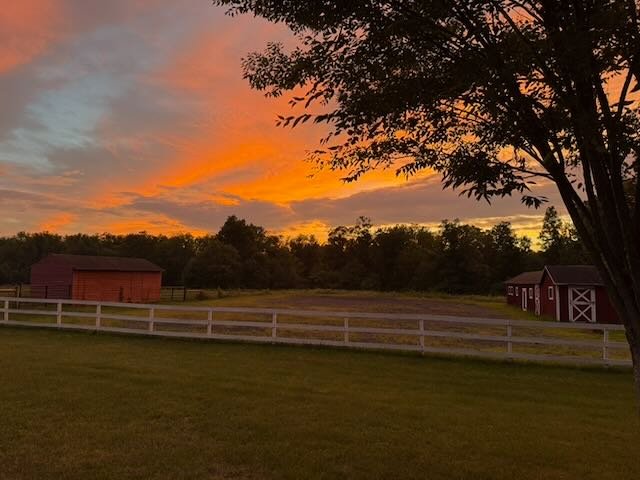 Whispering Hope Farm photo 10