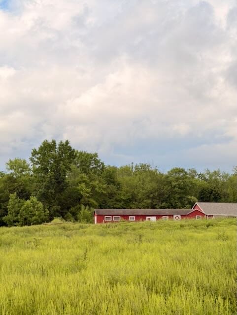Whispering Hope Farm photo 8