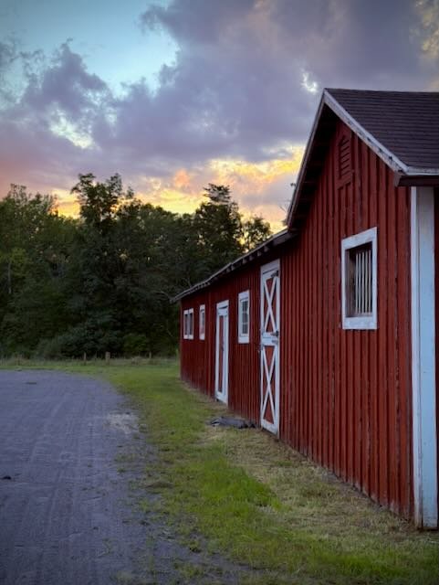 Whispering Hope Farm photo 1
